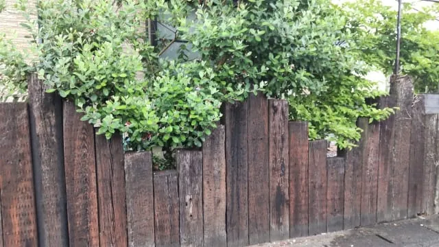 エクステリアで目隠しもおしゃれに！外構で魅せるプライベート空間づくり