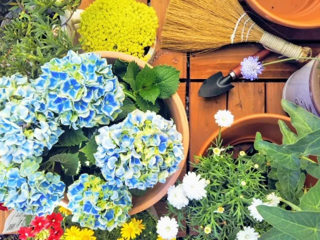 ガーデニングを楽しみたい方必見！おすすめのエクステリアアイディアを紹介